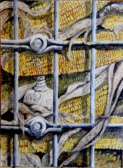 Caged Corn